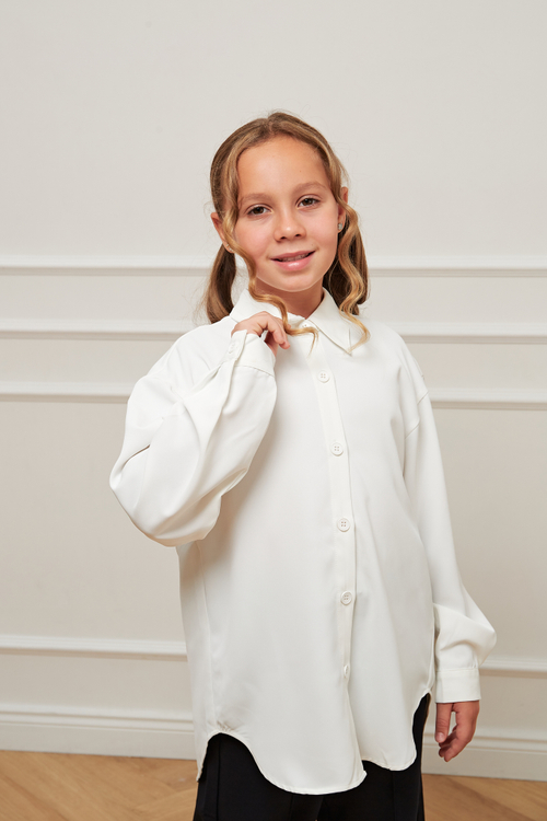 Блуза дл/р швейн. д/д DELORAS 63852C