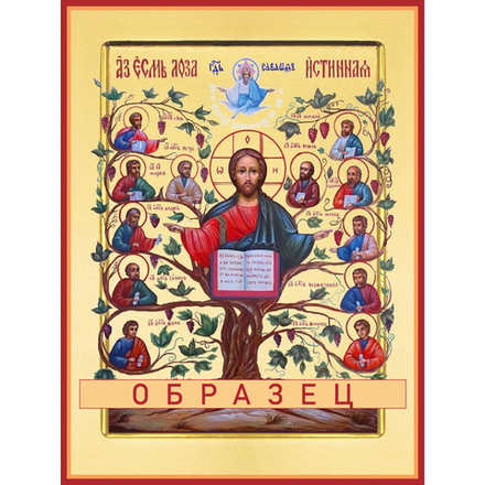 Лоза Истинная - Древо Жизни Сп-27 (сп/Л/1/1)