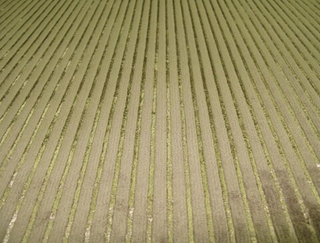 Шенилл Бриз полоса кофе