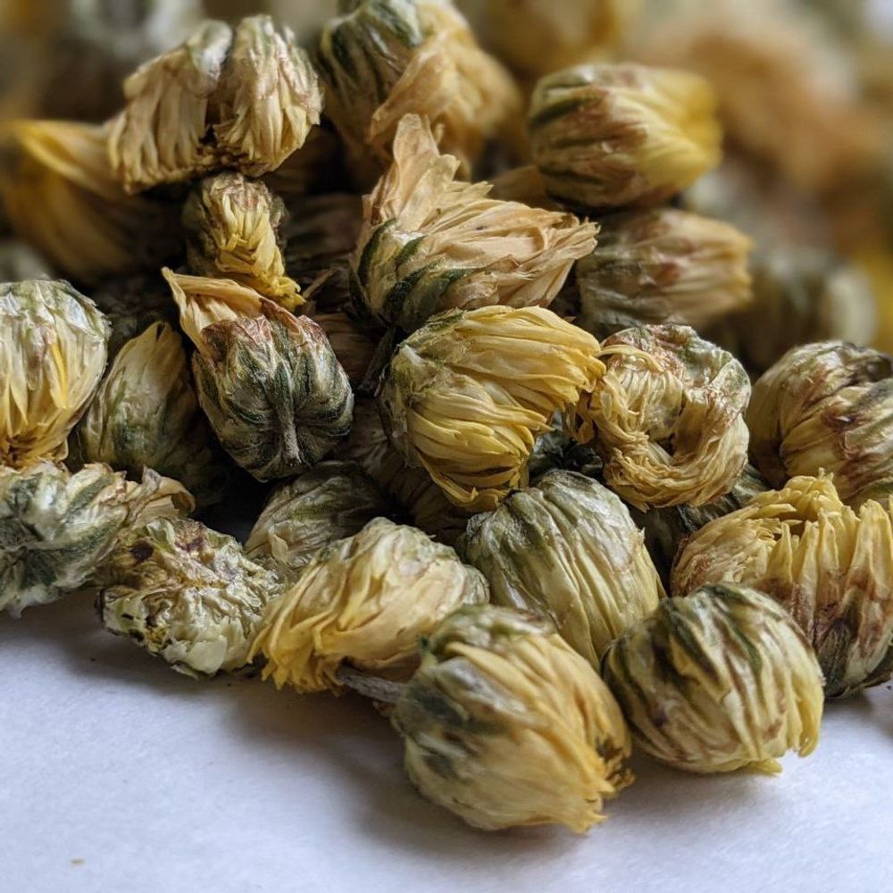 Бутоны Хризантемы или Китайская Ромашка