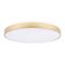 Потолочный светодиодный светильник Loft IT Flims 10228/B