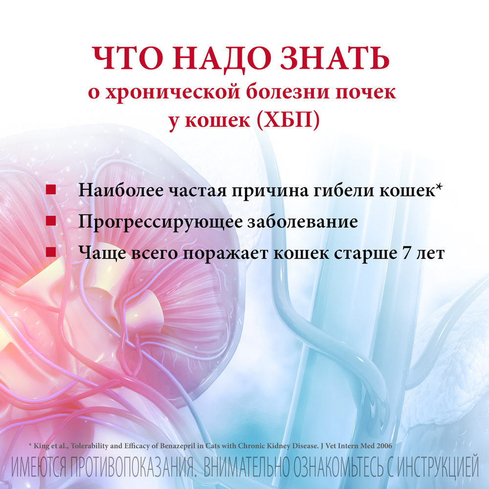 Семинтра раствор для орального применения Boehringer Ingelheim, флакон 30 мл