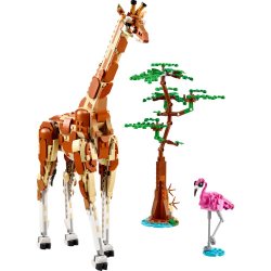 LEGO Creator — Дикие животные сафари 3 в 1 31150 / артикул   31150  / GTIN 5702017585109