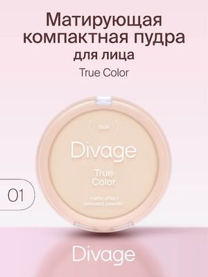 Пудра компактная TRUE COLOR DIVAGE №01 Fair