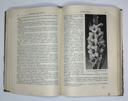 Г. Киселёв. Цветоводство., изд. 1949 г. Подарочное издание с цветными иллюстрациями.