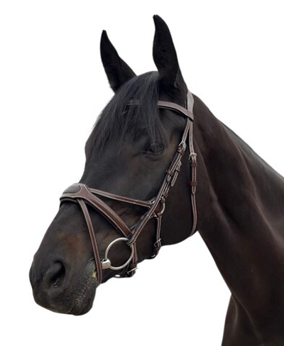 Трензельное оголовье «Spider» PREMIUM