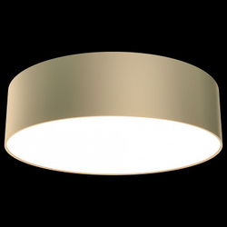 Накладной светильник Maytoni Technical C032CL-L32MG4K