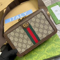 Gucci Ophidia GG Mini Bag