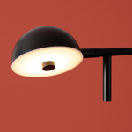 Торшер светодиодный Freya Piece FR5549FL-L5B