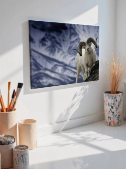 Картина на стену 40 X 50 Горный козел