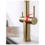 Смеситель для кухни с подключением фильтра Raglo R20.63.03, золотой сатин