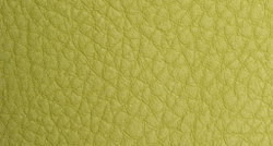 Искусственная кожа Carnaval verde (Карнавал верде)