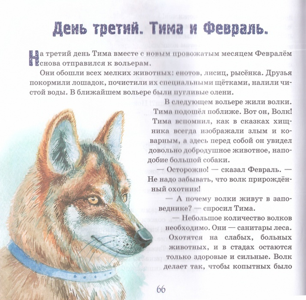 Зимние каникулы в Беловежской пуще. Ирина Токарева