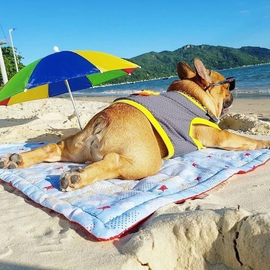 Внимание! Мы уходим в отпуск с 4 по 18 июля 2022 г.