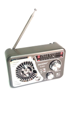 Радиоприемник Raiseng R-552