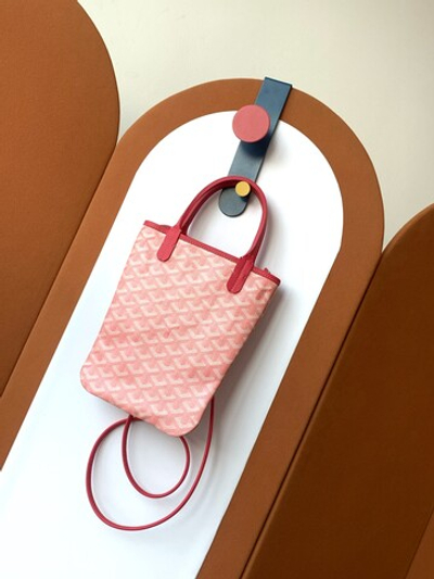 Goyard Poitiers Claire-Voie Bag
