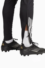 Штаны adidas Manchester United 25/26 Competition Training - черный