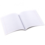 Тетрадь предметная 24л. А5 "Литература" со справочным материалом, скрепка, мелованный картон (стандарт), блок офсет, Alingar "Чёрный котик"