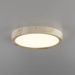 Citilux Бейсик CL738122N LED Светильник накладной Клён