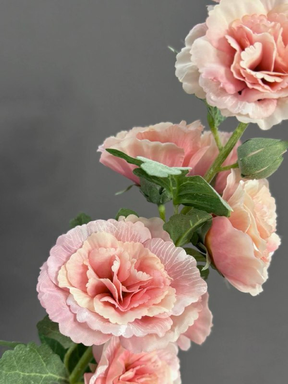 Мальва персиковая (h91 см)