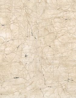 New Spirit панно