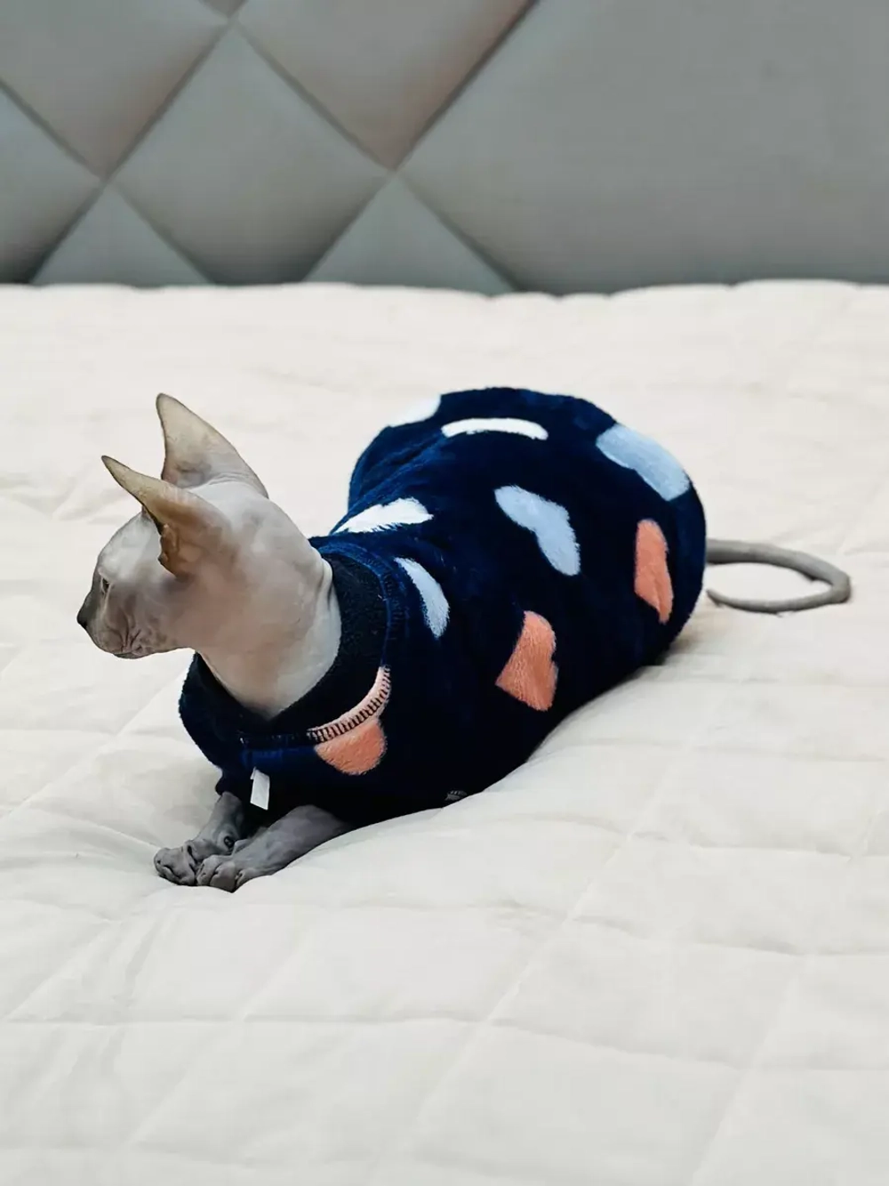 Одежда свитер для сфинксов кошек