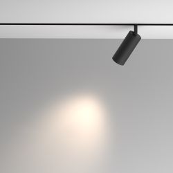 Трековый светильник Maytoni Exility Artisan TR097-2-12W4K-M-BB