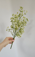 Гипсофила / Арт 2359