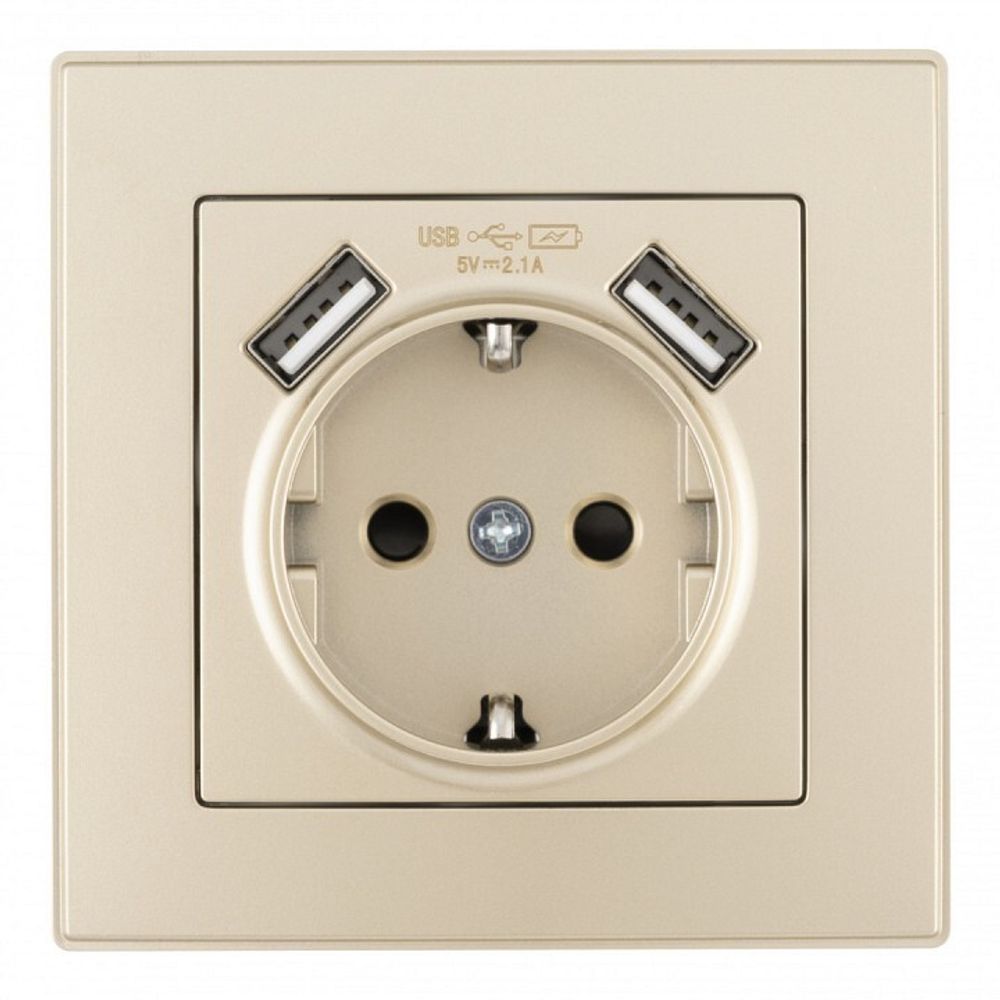 Розетка с заземлением и со шторкой и 2хUSB Arte Milano SET06-1 SET06-1-47-1 shampan