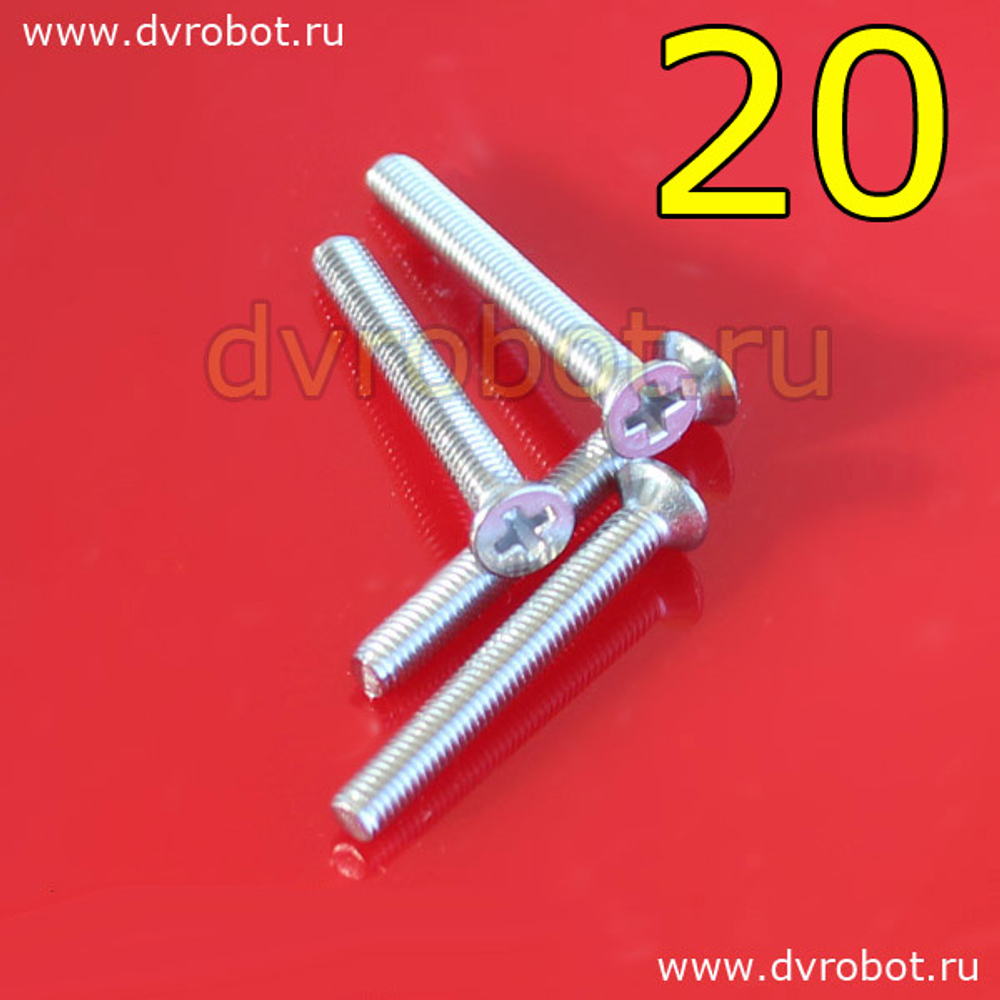 Болт М3*20-П