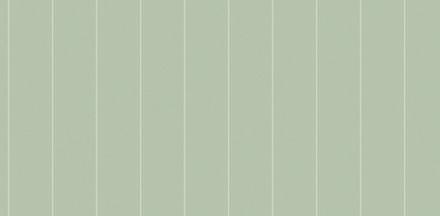 Spectrum Pro