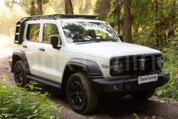 Лесенка верхнего багажника Tank 300