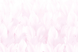 Коллекция Levity