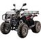Квадроцикл YACOTA Sela Lux 150 LD