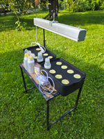 Система выращивания гидропоники с профессиональной фитолампой АГРОЛО Максимальная Смарт Блэк Эдишен с управлением через смартфон