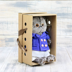 Кот Басик в синем кителе