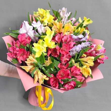 Букет из 13 альстромерий