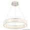 Подвесной светодиодный светильник Crystal Lux Musika SP50W Led Chrome