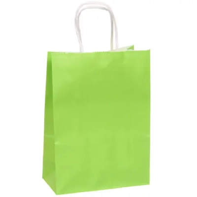 Пакет подарочный «Классика» 22*16*8 см, салатовый