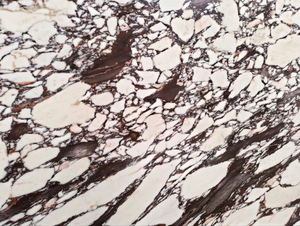 Каллаката Виола