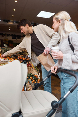 Детская коляска Anex iQ Premium NT 2 в 1 iQ-13-DNA seal