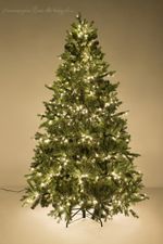 "ГРАЦИО ПРЕМИУМ" Светящаяся 9