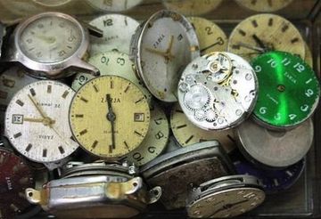 Классификая и интересные факты