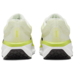 Кроссовки Nike Air Winflo 11