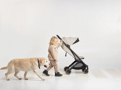 Детская прогулочная коляска Anex Air-X2 Shiro