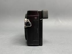 Panasonic DMC-GX7C