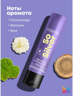 СОУ СИЛЬВЕР Фиолетовый Кондиционер 300 мл ( E4182901 )