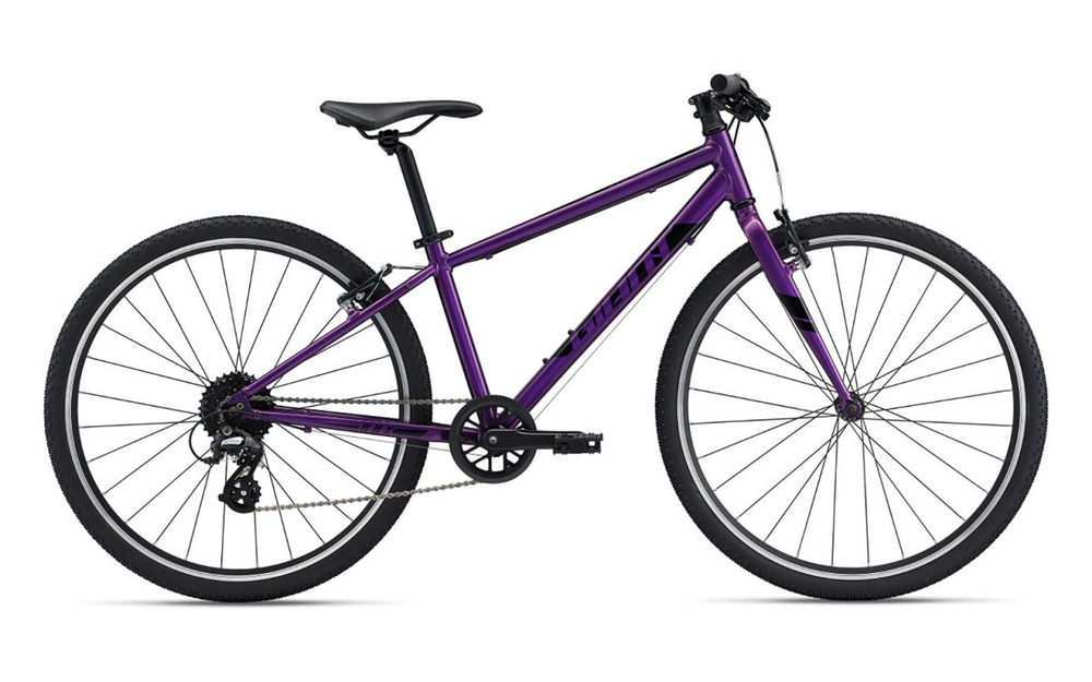 Детский велосипед Giant ARX 26 (2022)