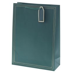 GAEM Пакет подарочный L (бумага 210г/м2, блок 12шт), L31 W12 H42 см, 10в.