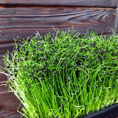 Шнитт-лук на корне (лоток) / 30 гр сбоку